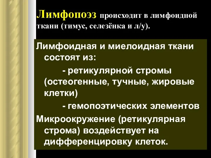 Лимфопоэз происходит в лимфоидной ткани (тимус, селезёнка и л/у). Лимфоидная и