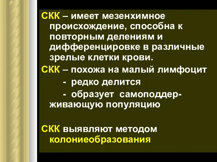 СКК – имеет мезенхимное происхождение, способна к повторным делениям и дифференцировке