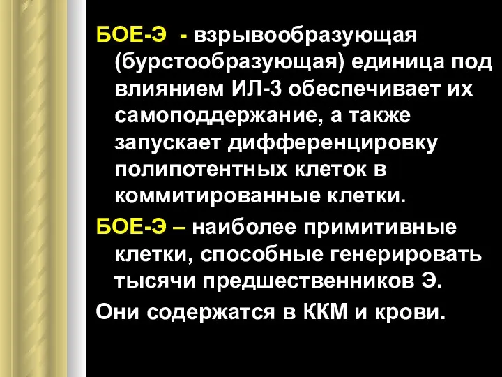 БОЕ-Э - взрывообразующая (бурстообразующая) единица под влиянием ИЛ-3 обеспечивает их самоподдержание,