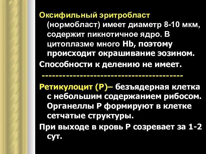 Оксифильный эритробласт (нормобласт) имеет диаметр 8-10 мкм, содержит пикнотичное ядро. В