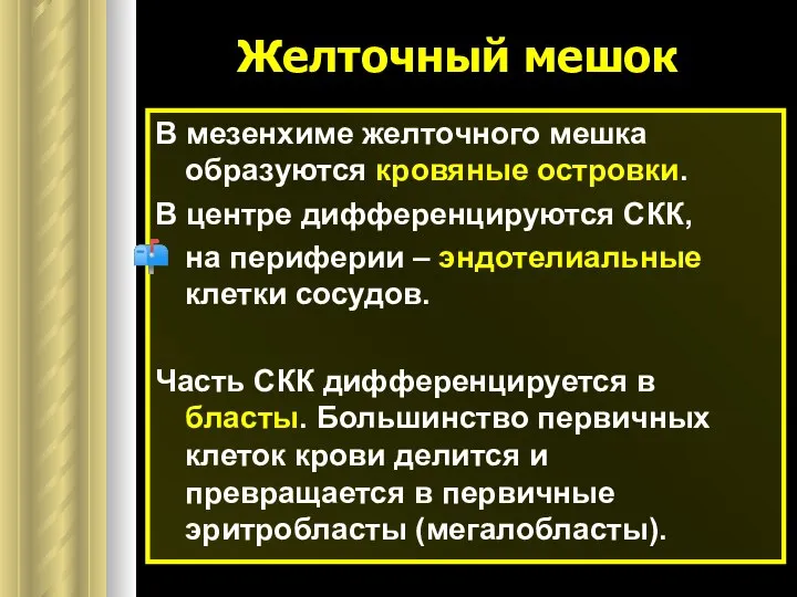 Желточный мешок В мезенхиме желточного мешка образуются кровяные островки. В центре