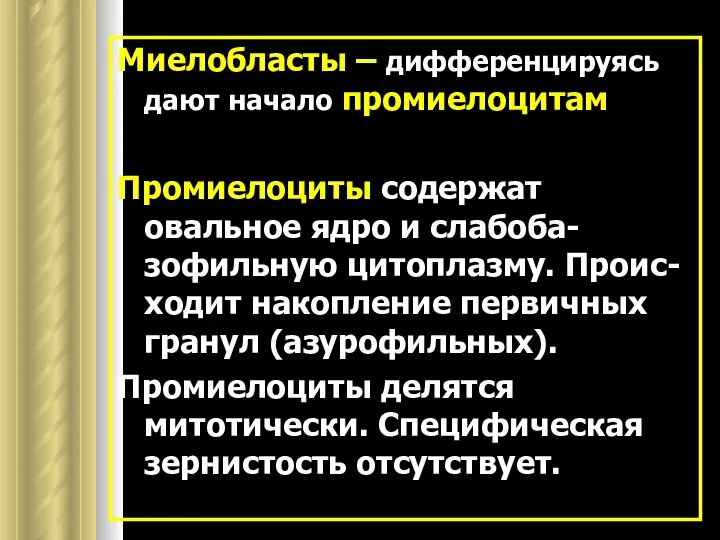 Миелобласты – дифференцируясь дают начало промиелоцитам Промиелоциты содержат овальное ядро и