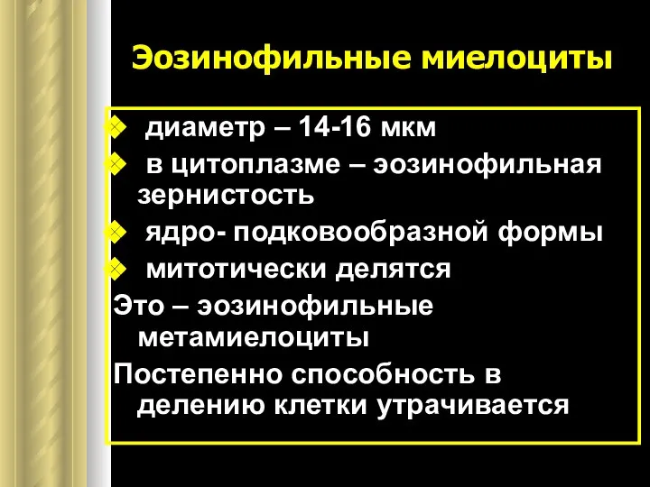 Эозинофильные миелоциты диаметр – 14-16 мкм в цитоплазме – эозинофильная зернистость