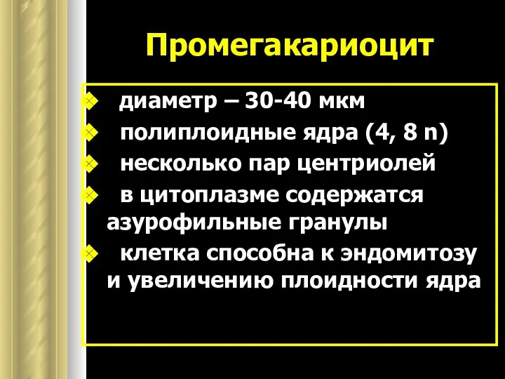 Промегакариоцит диаметр – 30-40 мкм полиплоидные ядра (4, 8 n) несколько