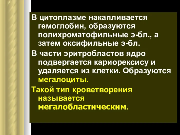 В цитоплазме накапливается гемоглобин, образуются полихроматофильные э-бл., а затем оксифильные э-бл.