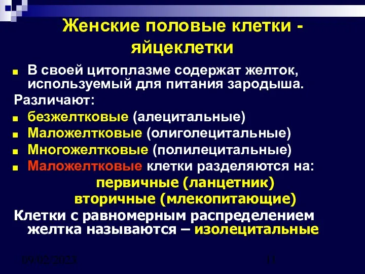 09/02/2023 В своей цитоплазме содержат желток, используемый для питания зародыша. Различают: