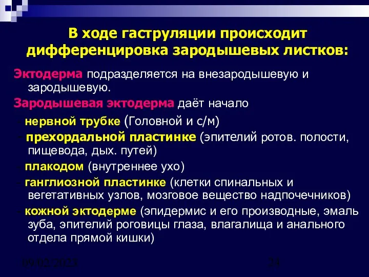 09/02/2023 В ходе гаструляции происходит дифференцировка зародышевых листков: Эктодерма подразделяется на