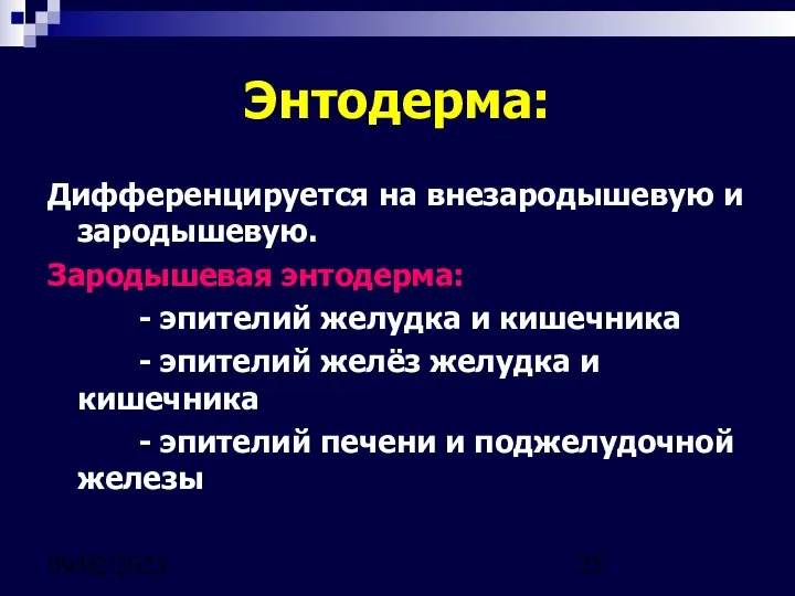 09/02/2023 Энтодерма: Дифференцируется на внезародышевую и зародышевую. Зародышевая энтодерма: - эпителий