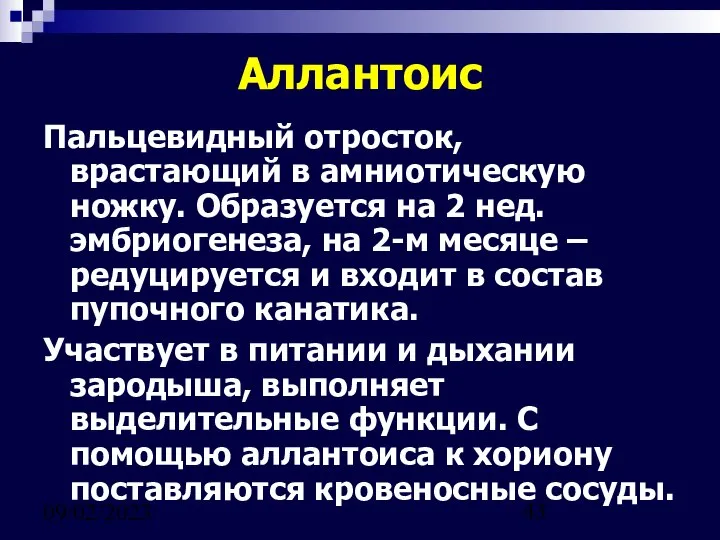 09/02/2023 Аллантоис Пальцевидный отросток, врастающий в амниотическую ножку. Образуется на 2