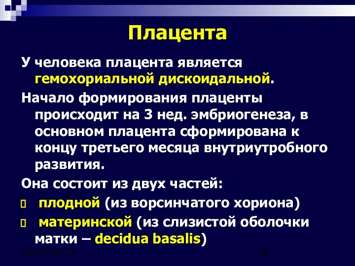 09/02/2023 Плацента У человека плацента является гемохориальной дискоидальной. Начало формирования плаценты