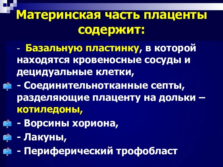 09/02/2023 Материнская часть плаценты содержит: - Базальную пластинку, в которой находятся