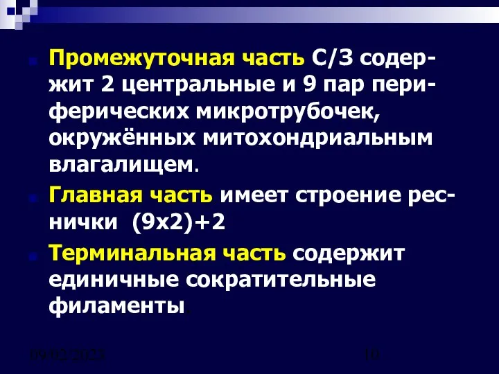 09/02/2023 Промежуточная часть С/З содер-жит 2 центральные и 9 пар пери-ферических