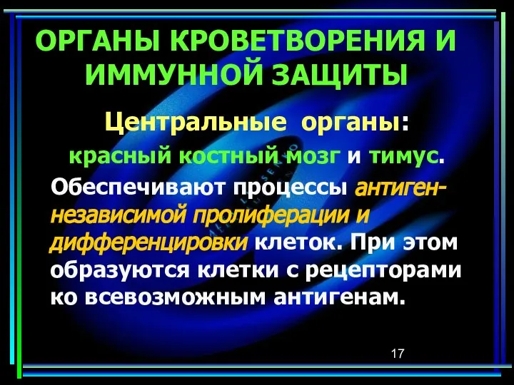 ОРГАНЫ КРОВЕТВОРЕНИЯ И ИММУННОЙ ЗАЩИТЫ Центральные органы: красный костный мозг и