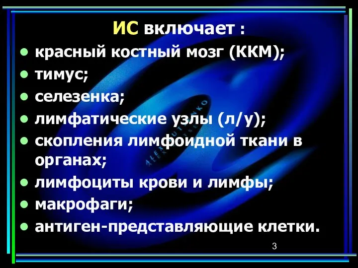 ИС включает : красный костный мозг (ККМ); тимус; селезенка; лимфатические узлы