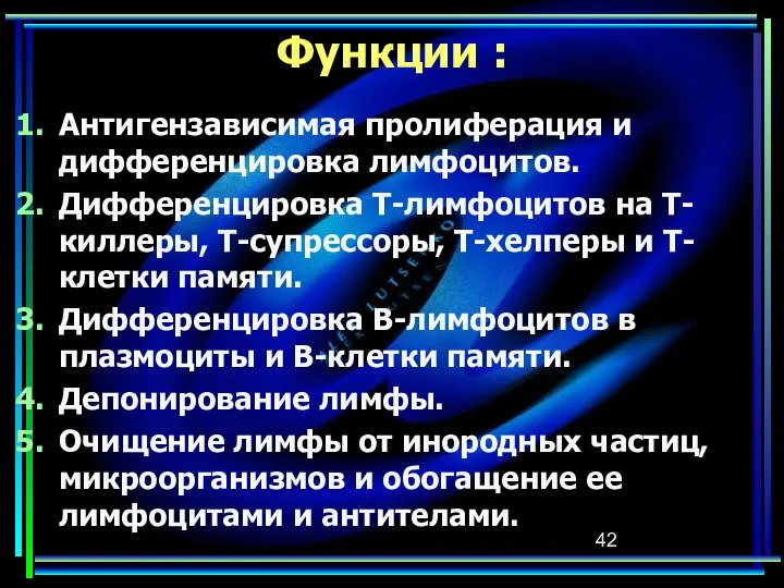 Функции : Антигензависимая пролиферация и дифференцировка лимфоцитов. Дифференцировка Т-лимфоцитов на Т-киллеры,