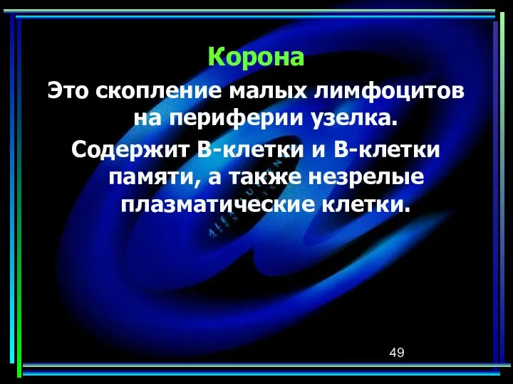 Корона Это скопление малых лимфоцитов на периферии узелка. Содержит В-клетки и