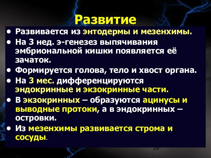 09/02/2023 Развитие Развивается из энтодермы и мезенхимы. На 3 нед. э-генезез