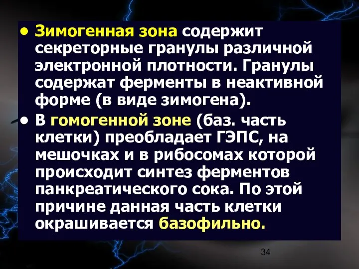 09/02/2023 Зимогенная зона содержит секреторные гранулы различной электронной плотности. Гранулы содержат