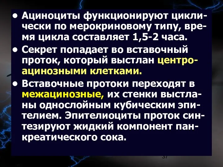 09/02/2023 Ациноциты функционируют цикли-чески по мерокриновому типу, вре-мя цикла составляет 1,5-2