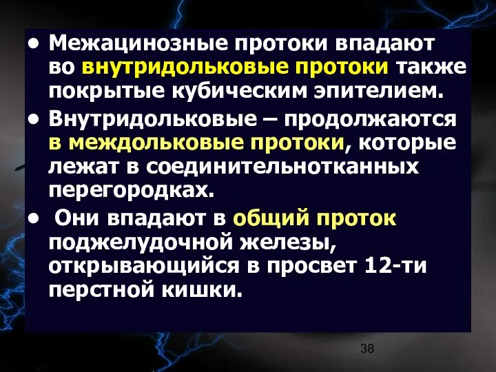 09/02/2023 Межацинозные протоки впадают во внутридольковые протоки также покрытые кубическим эпителием.