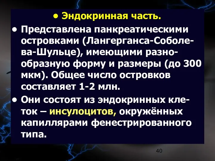 09/02/2023 Эндокринная часть. Представлена панкреатическими островками (Лангерганса-Соболе-ва-Шульце), имеющими разно-образную форму и