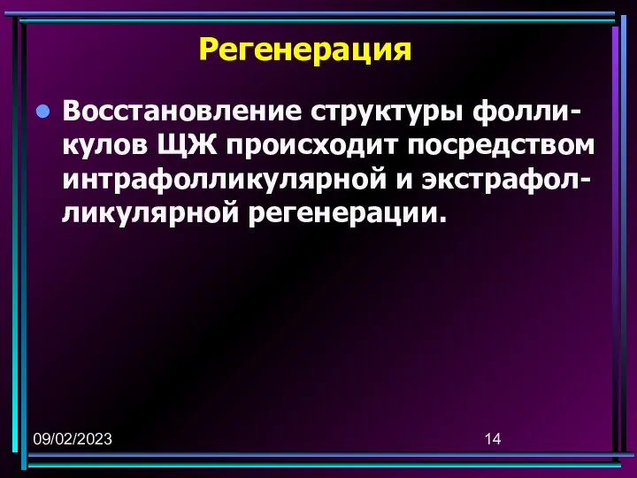 09/02/2023 Регенерация Восстановление структуры фолли-кулов ЩЖ происходит посредством интрафолликулярной и экстрафол-ликулярной регенерации.