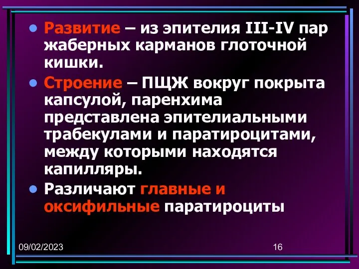 09/02/2023 Развитие – из эпителия III-IV пар жаберных карманов глоточной кишки.