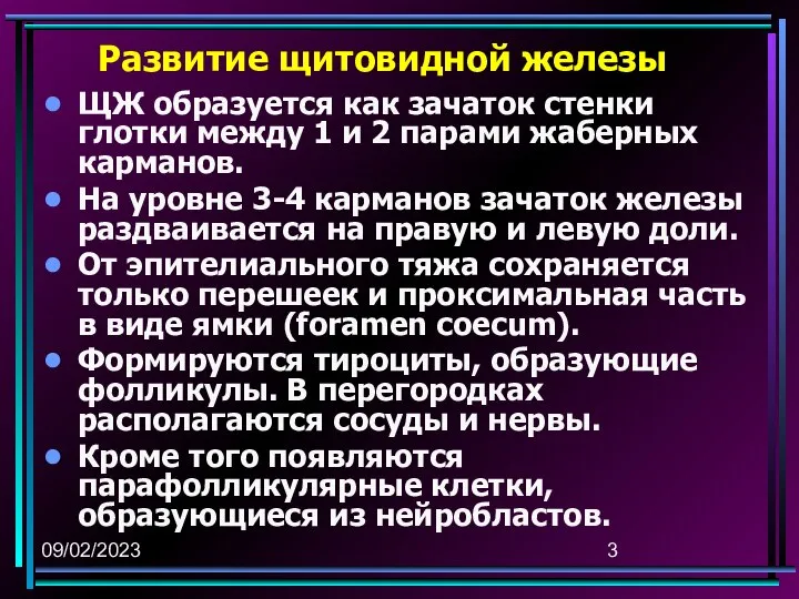 09/02/2023 Развитие щитовидной железы ЩЖ образуется как зачаток стенки глотки между