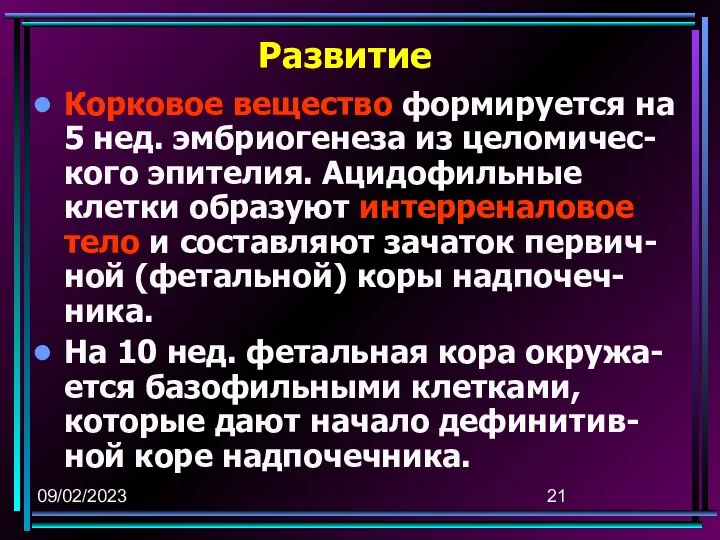 09/02/2023 Развитие Корковое вещество формируется на 5 нед. эмбриогенеза из целомичес-кого