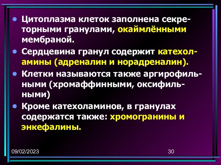 09/02/2023 Цитоплазма клеток заполнена секре-торными гранулами, окаймлёнными мембраной. Сердцевина гранул содержит