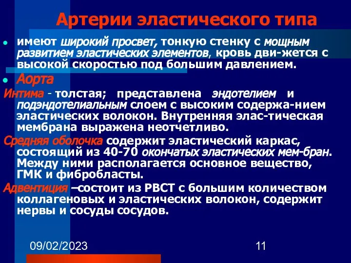 09/02/2023 Артерии эластического типа имеют широкий просвет, тонкую стенку с мощным