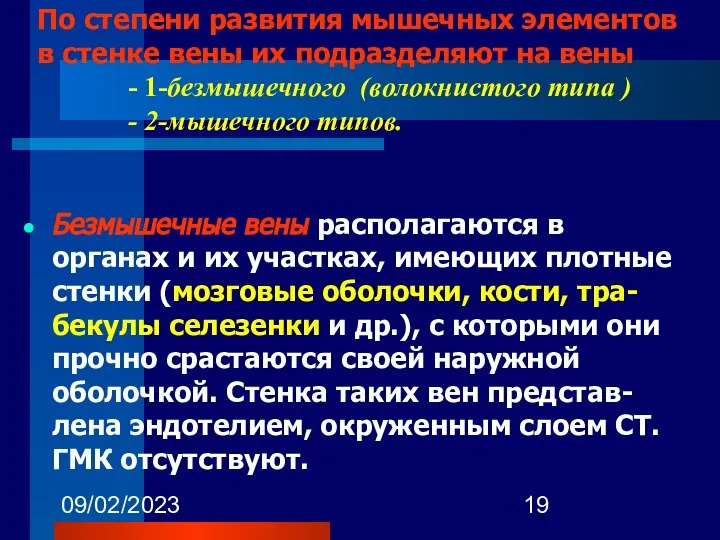 09/02/2023 По степени развития мышечных элементов в стенке вены их подразделяют