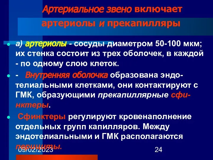 09/02/2023 Артериальное звено включает артериолы и прекапилляры а) артериолы - сосуды