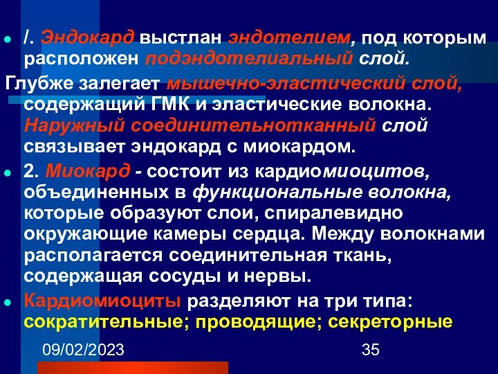 09/02/2023 /. Эндокард выстлан эндотелием, под которым расположен подэндотелиальный слой. Глубже