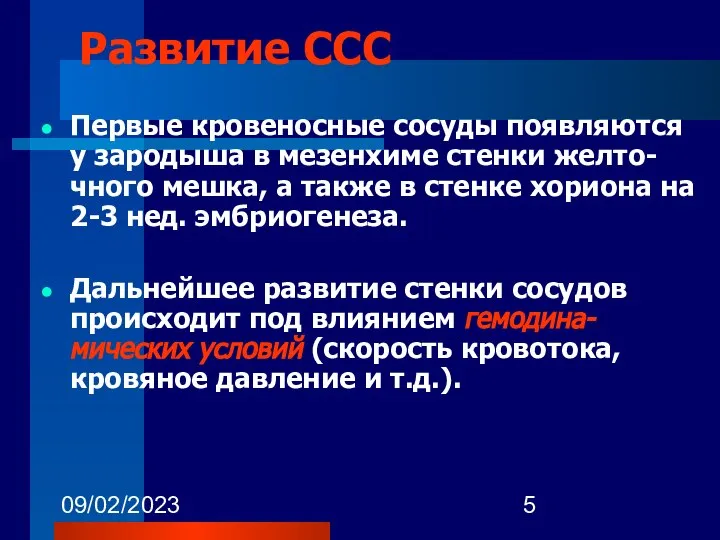 09/02/2023 Развитие ССС Первые кровеносные сосуды появляются у зародыша в мезенхиме