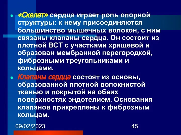 09/02/2023 «Скелет» сердца играет роль опорной структуры: к нему присоединяются большинство