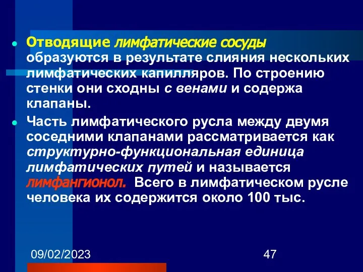 09/02/2023 Отводящие лимфатические сосуды образуются в результате слияния нескольких лимфатических капилляров.