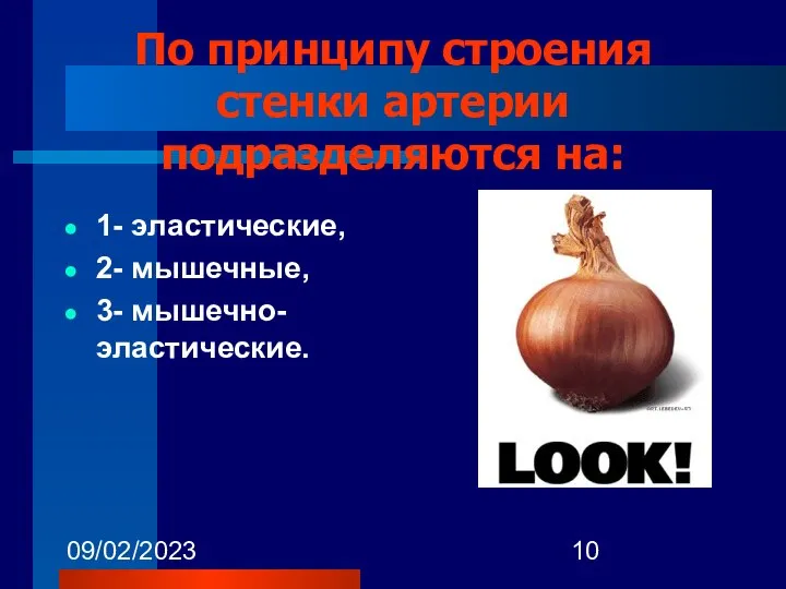 09/02/2023 По принципу строения стенки артерии подразделяются на: 1- эластические, 2- мышечные, 3- мышечно-эластические.