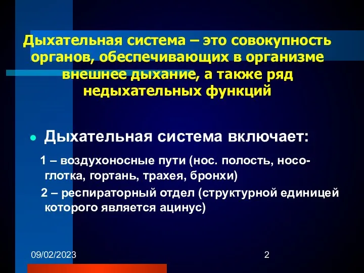 09/02/2023 Дыхательная система – это совокупность органов, обеспечивающих в организме внешнее