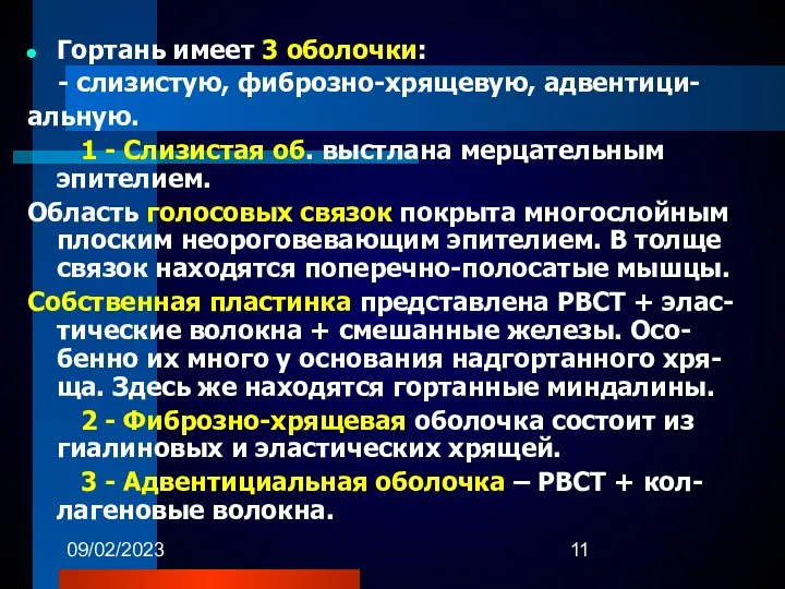 09/02/2023 Гортань имеет 3 оболочки: - слизистую, фиброзно-хрящевую, адвентици- альную. 1