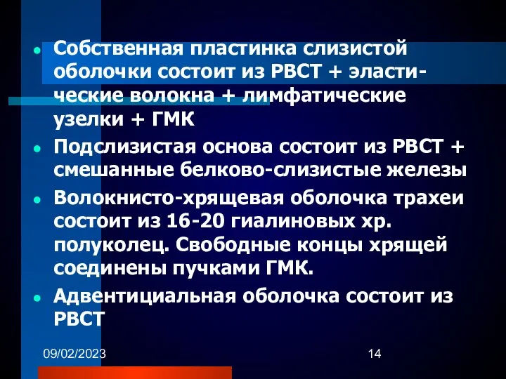 09/02/2023 Собственная пластинка слизистой оболочки состоит из РВСТ + эласти-ческие волокна