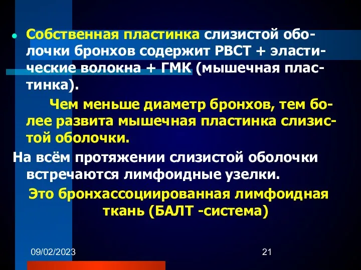 09/02/2023 Собственная пластинка слизистой обо-лочки бронхов содержит РВСТ + эласти-ческие волокна