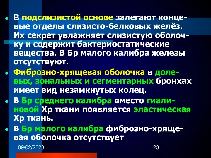 09/02/2023 В подслизистой основе залегают конце-вые отделы слизисто-белковых желёз. Их секрет