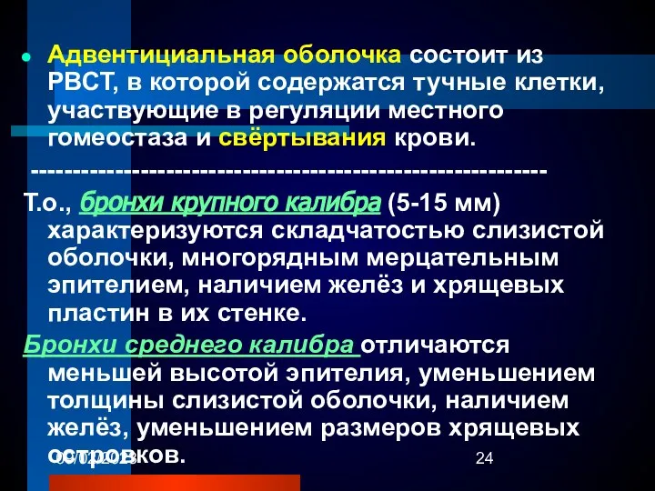 09/02/2023 Адвентициальная оболочка состоит из РВСТ, в которой содержатся тучные клетки,