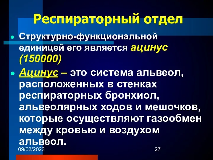 09/02/2023 Респираторный отдел Структурно-функциональной единицей его является ацинус (150000) Ацинус –