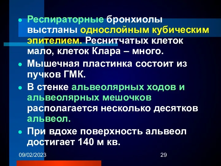 09/02/2023 Респираторные бронхиолы выстланы однослойным кубическим эпителием. Реснитчатых клеток мало, клеток