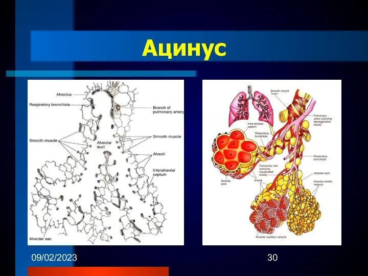 09/02/2023 Ацинус