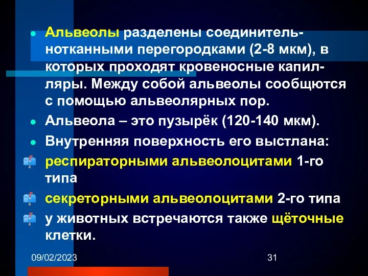 09/02/2023 Альвеолы разделены соединитель-нотканными перегородками (2-8 мкм), в которых проходят кровеносные