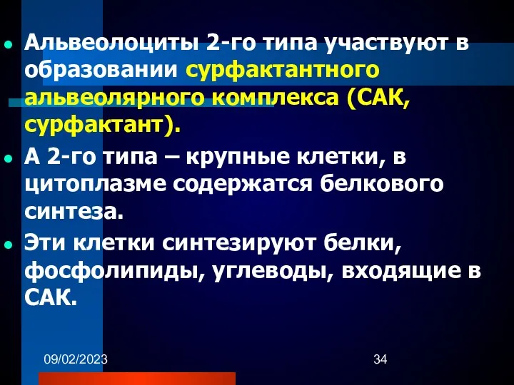 09/02/2023 Альвеолоциты 2-го типа участвуют в образовании сурфактантного альвеолярного комплекса (САК,