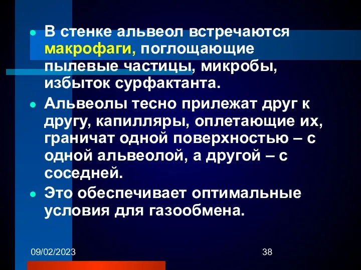 09/02/2023 В стенке альвеол встречаются макрофаги, поглощающие пылевые частицы, микробы, избыток